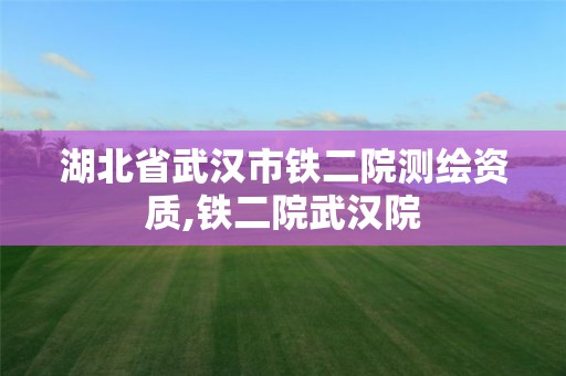湖北省武汉市铁二院测绘资质,铁二院武汉院