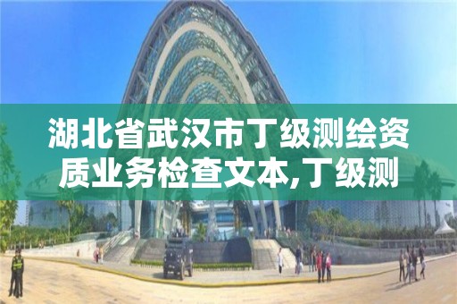 湖北省武汉市丁级测绘资质业务检查文本,丁级测绘资质要求
