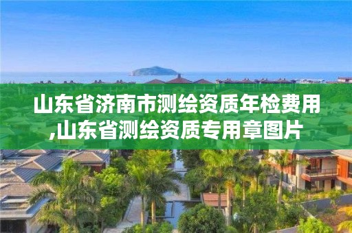 山东省济南市测绘资质年检费用,山东省测绘资质专用章图片