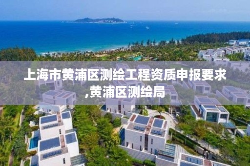 上海市黄浦区测绘工程资质申报要求,黄浦区测绘局
