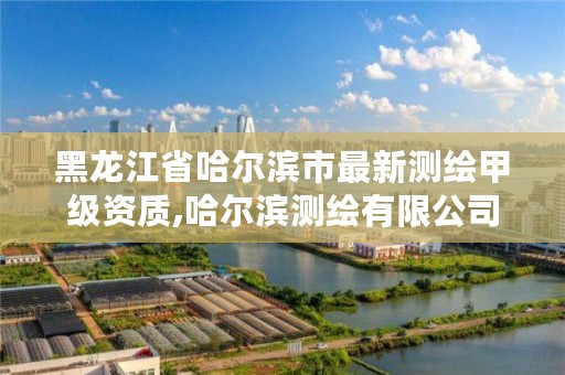 黑龙江省哈尔滨市最新测绘甲级资质,哈尔滨测绘有限公司