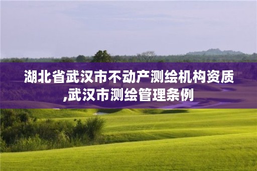 湖北省武汉市不动产测绘机构资质,武汉市测绘管理条例
