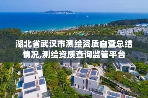 湖北省武汉市测绘资质自查总结情况,测绘资质查询监管平台