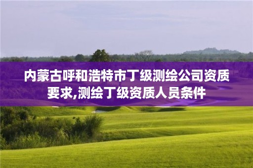 内蒙古呼和浩特市丁级测绘公司资质要求,测绘丁级资质人员条件