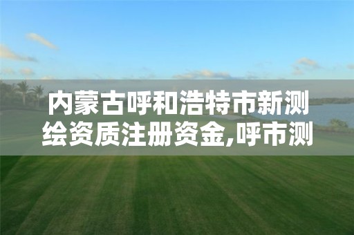 内蒙古呼和浩特市新测绘资质注册资金,呼市测绘单位