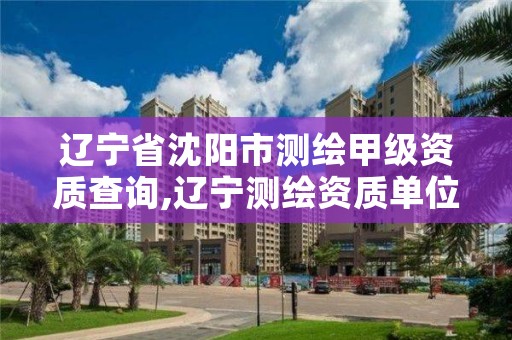 辽宁省沈阳市测绘甲级资质查询,辽宁测绘资质单位