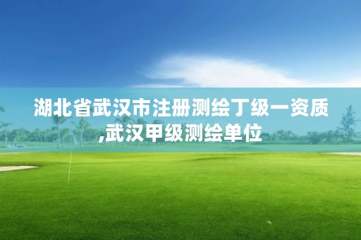 湖北省武汉市注册测绘丁级一资质,武汉甲级测绘单位