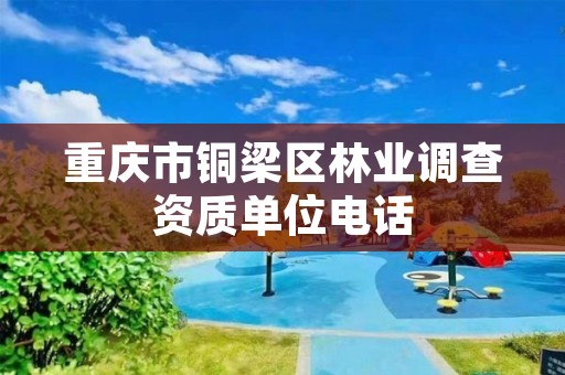 重庆市铜梁区林业调查资质单位电话