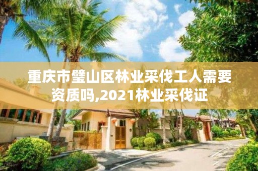 重庆市璧山区林业采伐工人需要资质吗,2021林业采伐证