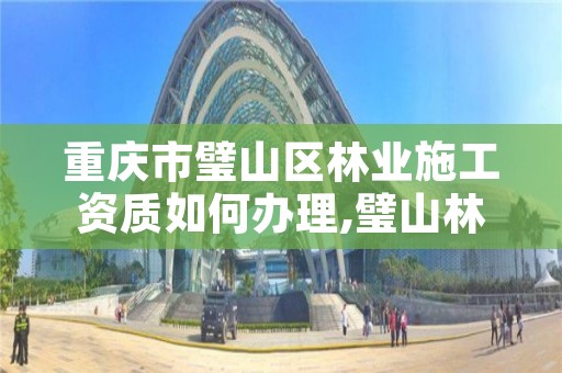 重庆市璧山区林业施工资质如何办理,璧山林业局在哪里