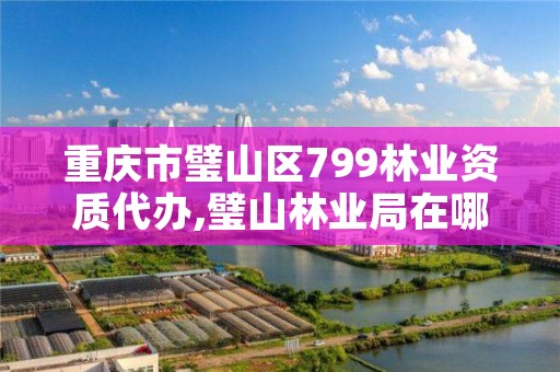 重庆市璧山区799林业资质代办,璧山林业局在哪里