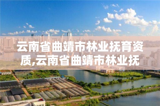 云南省曲靖市林业抚育资质,云南省曲靖市林业抚育资质查询