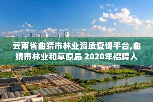 云南省曲靖市林业资质查询平台,曲靖市林业和草原局 2020年招聘人员岗位表