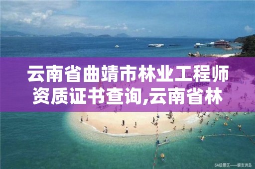 云南省曲靖市林业工程师资质证书查询,云南省林业高级工程师公示