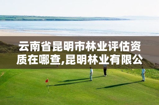 云南省昆明市林业评估资质在哪查,昆明林业有限公司