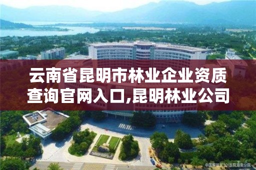 云南省昆明市林业企业资质查询官网入口,昆明林业公司招聘