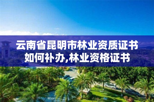 云南省昆明市林业资质证书如何补办,林业资格证书