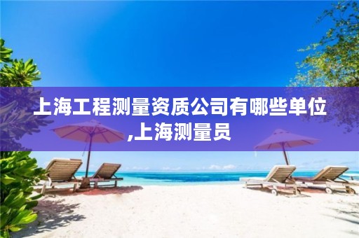 上海工程测量资质公司有哪些单位,上海测量员