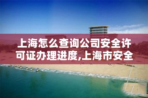 上海怎么查询公司安全许可证办理进度,上海市安全生产许可证