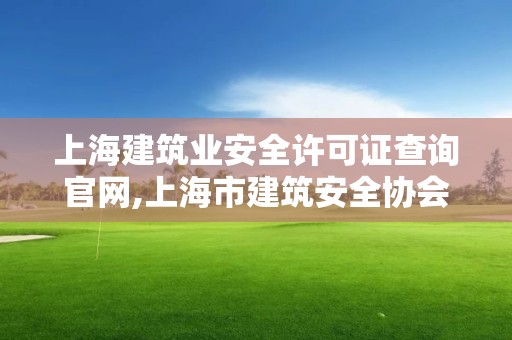 上海建筑业安全许可证查询官网,上海市建筑安全协会网站