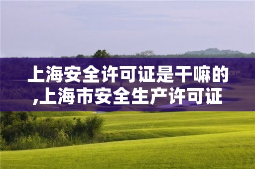 上海安全许可证是干嘛的,上海市安全生产许可证图片
