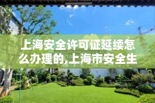 上海安全许可证延续怎么办理的,上海市安全生产许可证查询