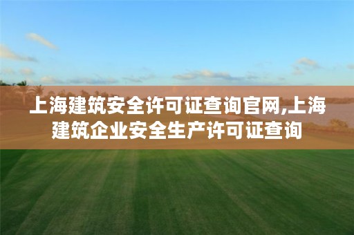 上海建筑安全许可证查询官网,上海建筑企业安全生产许可证查询