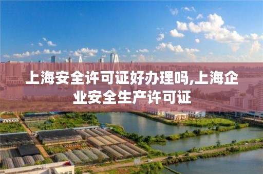 上海安全许可证好办理吗,上海企业安全生产许可证