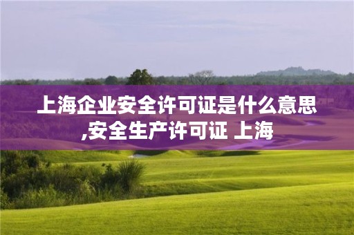 上海企业安全许可证是什么意思,安全生产许可证 上海