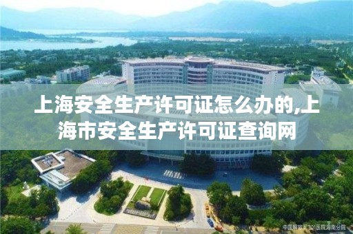 上海安全生产许可证怎么办的,上海市安全生产许可证查询网
