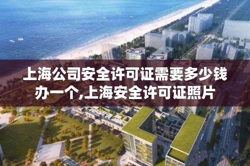 上海公司安全许可证需要多少钱办一个,上海安全许可证照片