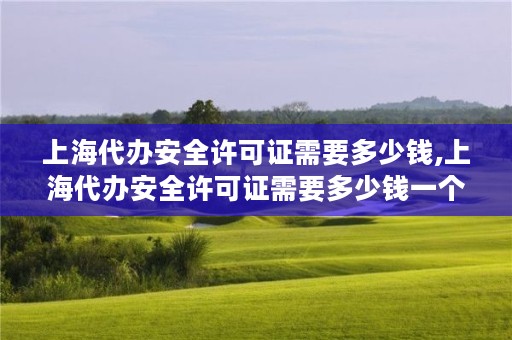 上海代办安全许可证需要多少钱,上海代办安全许可证需要多少钱一个