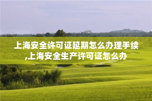 上海安全许可证延期怎么办理手续,上海安全生产许可证怎么办