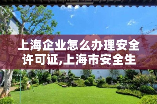 上海企业怎么办理安全许可证,上海市安全生产许可证查询