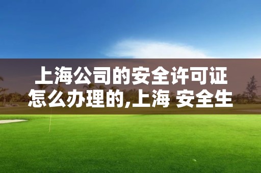 上海公司的安全许可证怎么办理的,上海 安全生产许可证